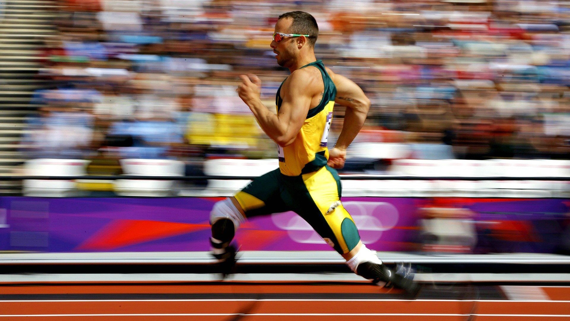 波兰队赛制分析：如何通过赛制提高球员的应变能力，波兰队怎么样